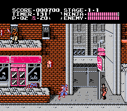 Ninja Gaiden Screen 1